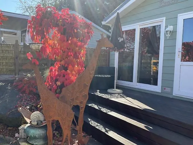 Zu Jeddelohs & -adult Friendly Apartmanhotel